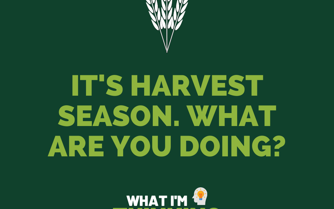 It’s harvest season. What are you doing?