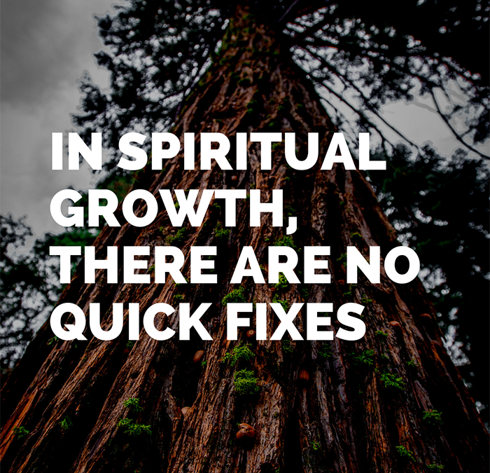 Spiritual growth can be slow, but it’s worth the effort