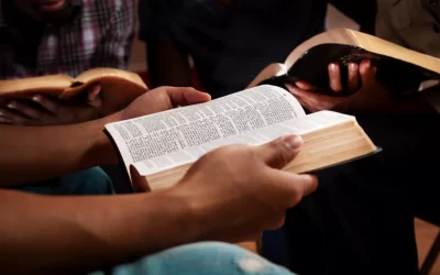 3 books that can help you love the Bible more